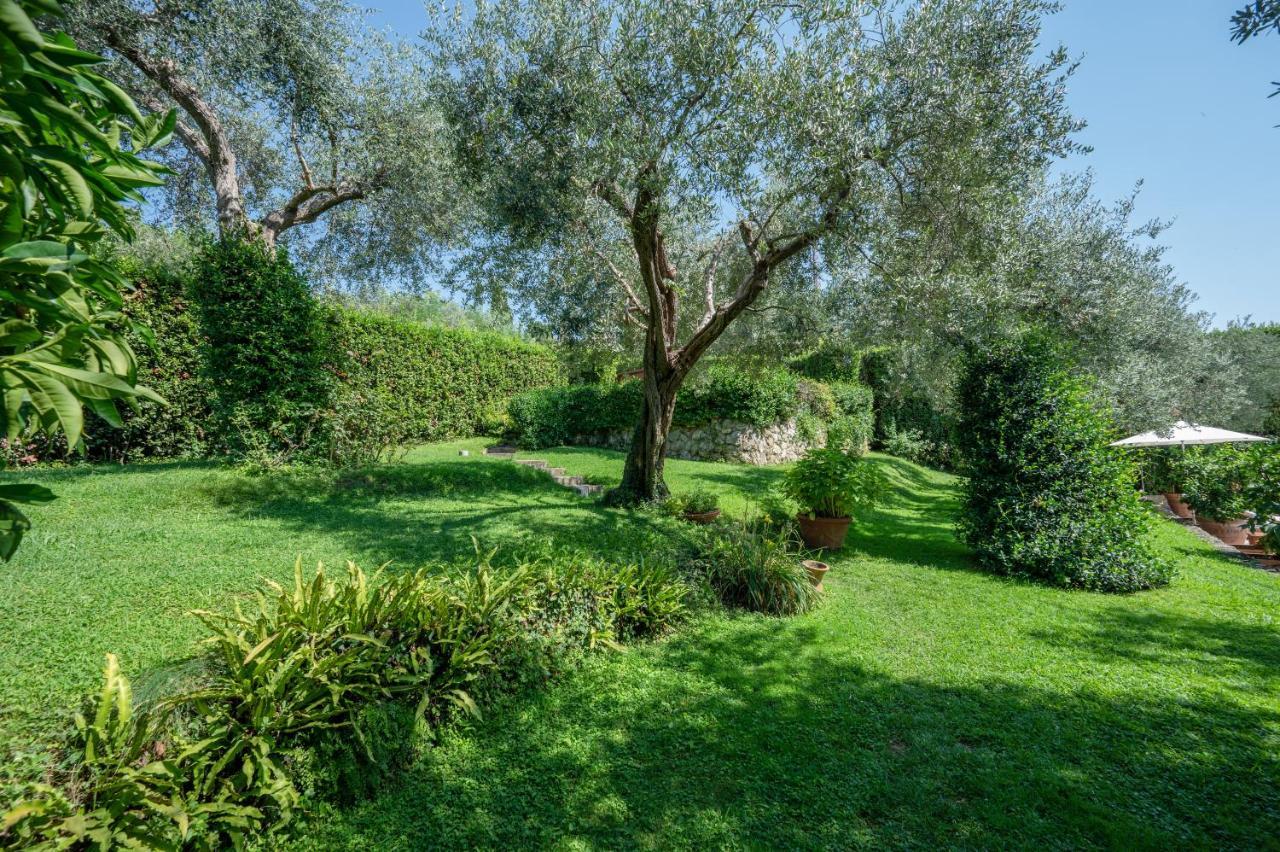 Villa Eden Forte Dei Marmi With Private Infinity Pool Santa Lucia  Buitenkant foto