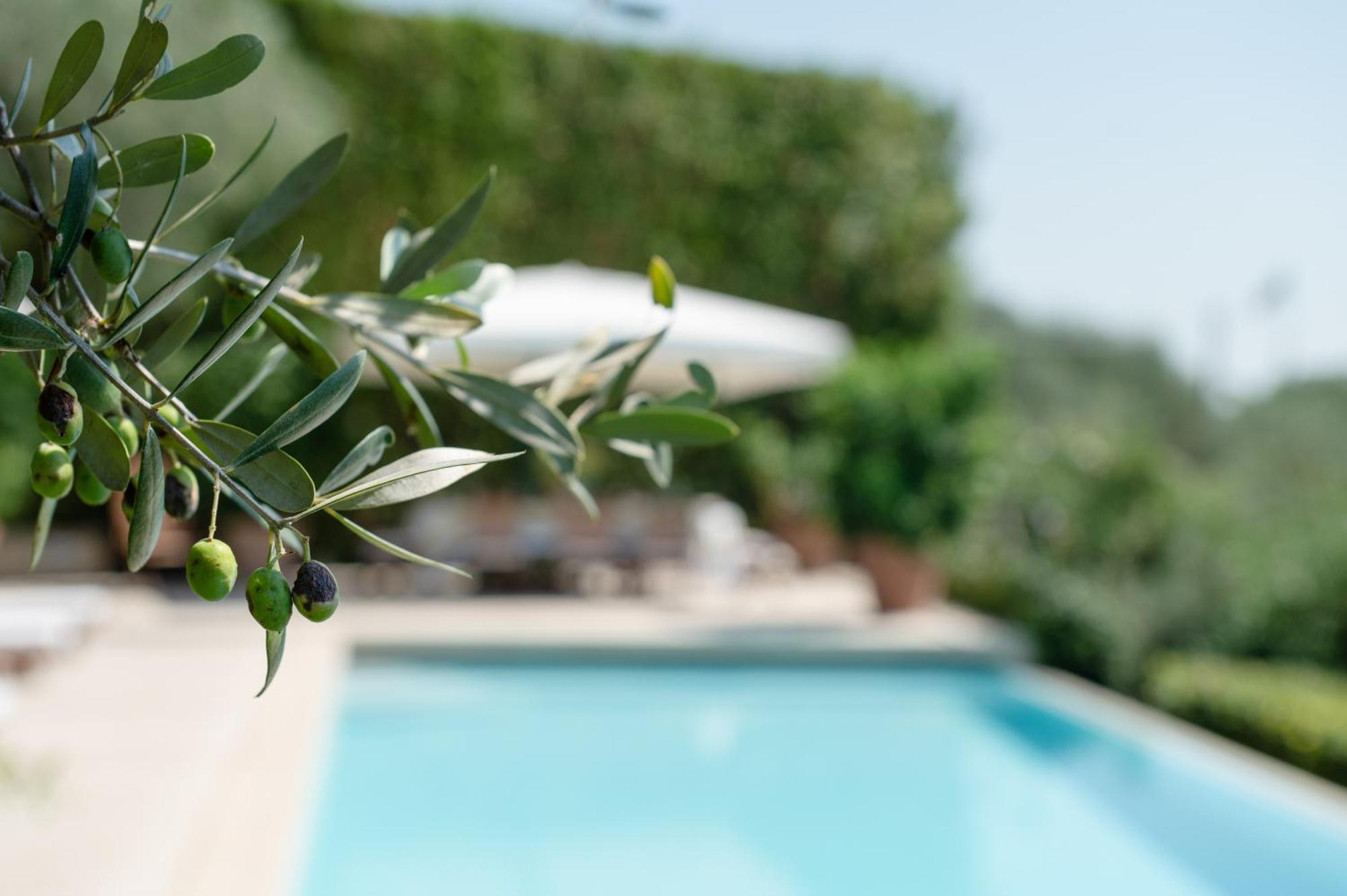 Villa Eden Forte Dei Marmi With Private Infinity Pool Santa Lucia  Buitenkant foto
